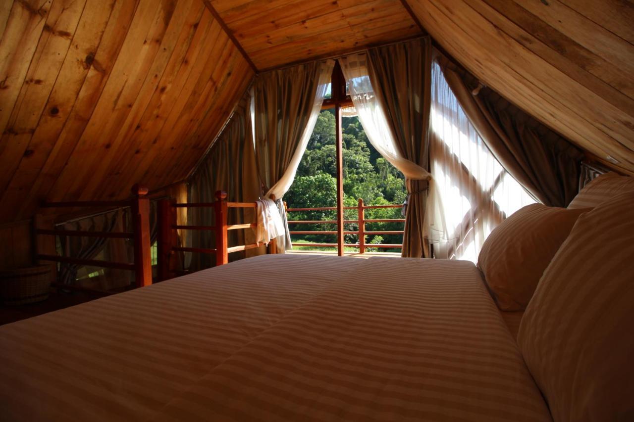Hotel Padi