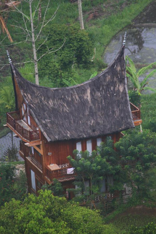 Padi Bukittinggi